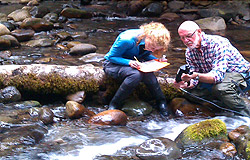 P2 Community Watershed Monitoring