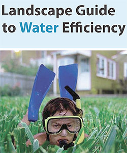 Landscape Guide to Water Efficiency