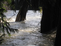 Nanaimo RIver