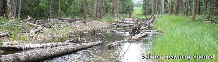 Englishman River Management Plan