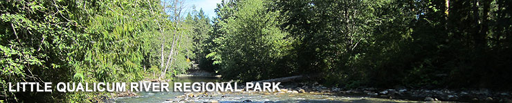 Little Qualicum River Regional Park