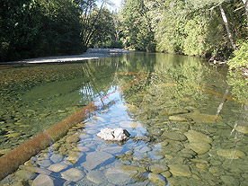 Englishman River Groundwater-Surface Water Interactions